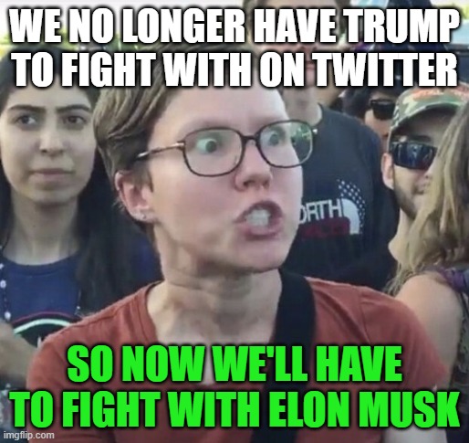 Triggered feminist | WE NO LONGER HAVE TRUMP TO FIGHT WITH ON TWITTER; SO NOW WE'LL HAVE TO FIGHT WITH ELON MUSK | image tagged in triggered feminist,memes,twitter,trump,elon musk,fight | made w/ Imgflip meme maker