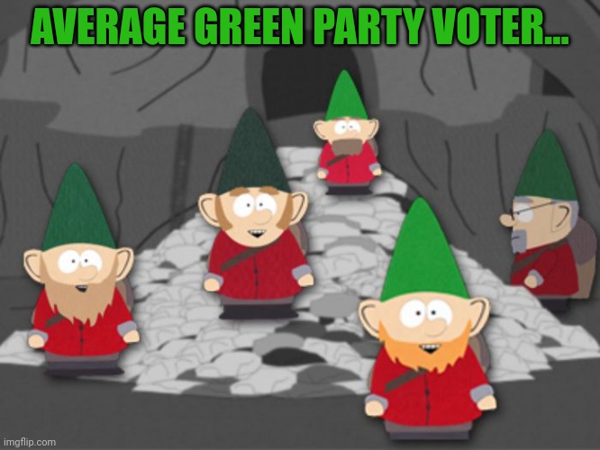 Is the Sargent's green party still a thing? | AVERAGE GREEN PARTY VOTER... | image tagged in south park underwear gnomes profit,dont vote green party,gnomes | made w/ Imgflip meme maker