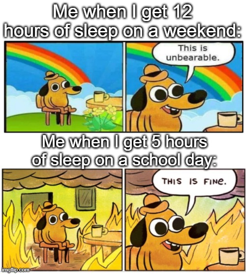 Unbearable | Me when I get 12 hours of sleep on a weekend:; Me when I get 5 hours of sleep on a school day: | image tagged in unbearable,tag,never gonna give you up,oh wow are you actually reading these tags | made w/ Imgflip meme maker
