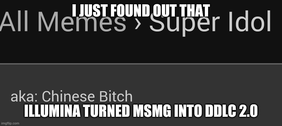 Chinese bitch | I JUST FOUND OUT THAT; ILLUMINA TURNED MSMG INTO DDLC 2.0 | image tagged in chinese bitch | made w/ Imgflip meme maker