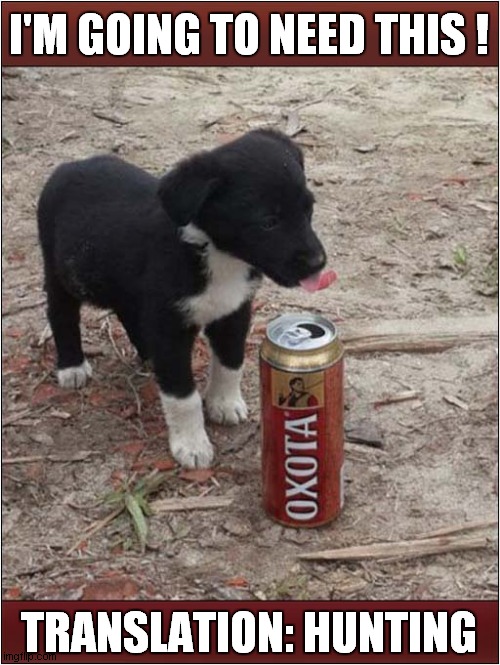 Russian Puppy Likes This Drink ! | I'M GOING TO NEED THIS ! TRANSLATION: HUNTING | image tagged in dogs,puppy,drinks,russian | made w/ Imgflip meme maker
