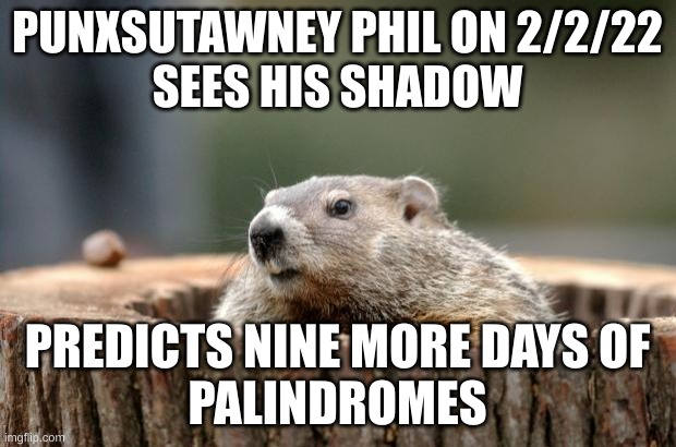 Groundhog Day 2022 |  PUNXSUTAWNEY PHIL ON 2/2/22
SEES HIS SHADOW; PREDICTS NINE MORE DAYS OF
PALINDROMES | image tagged in groundhog,palindrome,groundhog day,2-2-22 | made w/ Imgflip meme maker