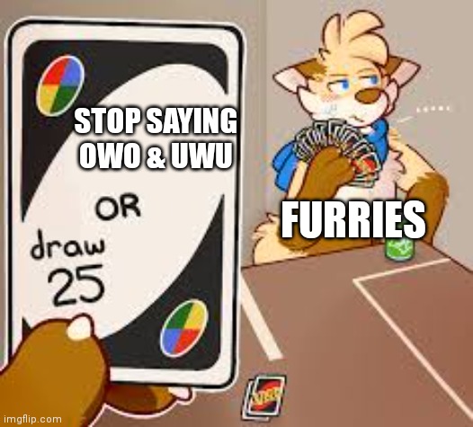 furry or draw 25 | STOP SAYING OWO & UWU; FURRIES | image tagged in furry or draw 25,furries,owo,memes,human stupidity,dumb and dumber | made w/ Imgflip meme maker