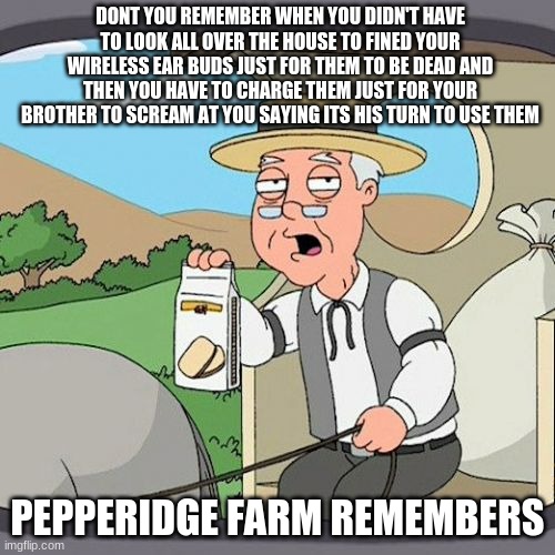 bruh | DONT YOU REMEMBER WHEN YOU DIDN'T HAVE TO LOOK ALL OVER THE HOUSE TO FINED YOUR WIRELESS EAR BUDS JUST FOR THEM TO BE DEAD AND THEN YOU HAVE TO CHARGE THEM JUST FOR YOUR BROTHER TO SCREAM AT YOU SAYING ITS HIS TURN TO USE THEM; PEPPERIDGE FARM REMEMBERS | image tagged in memes,pepperidge farm remembers | made w/ Imgflip meme maker