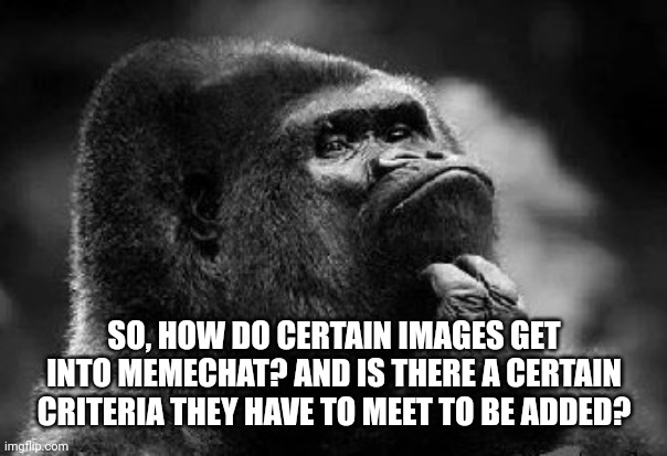 thinking monkey | SO, HOW DO CERTAIN IMAGES GET INTO MEMECHAT? AND IS THERE A CERTAIN CRITERIA THEY HAVE TO MEET TO BE ADDED? | image tagged in thinking monkey | made w/ Imgflip meme maker