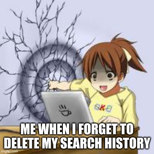 Anime wall punch | ME WHEN I FORGET TO DELETE MY SEARCH HISTORY | image tagged in anime wall punch | made w/ Imgflip meme maker
