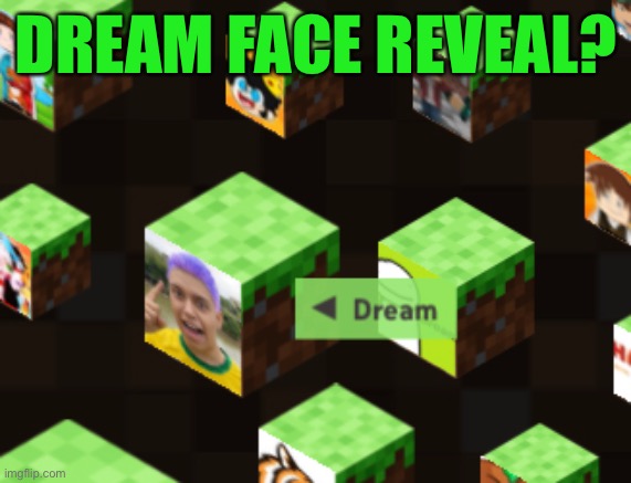 DREAM FACE REVEAL!!!!!*not clickbait* | DREAM FACE REVEAL? | made w/ Imgflip meme maker