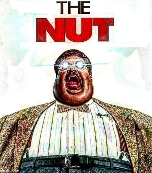 The nut | image tagged in the nut | made w/ Imgflip meme maker