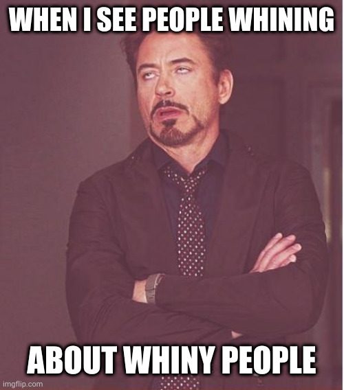 It's like watching a parakeet trying to fight a mirror. At least the parakeet has an excuse for being birdbrained. | WHEN I SEE PEOPLE WHINING; ABOUT WHINY PEOPLE | image tagged in memes,face you make robert downey jr | made w/ Imgflip meme maker