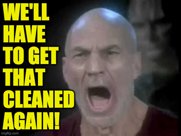 Picard Four Lights | WE'LL
HAVE
TO GET
THAT
CLEANED
AGAIN! | image tagged in picard four lights | made w/ Imgflip meme maker