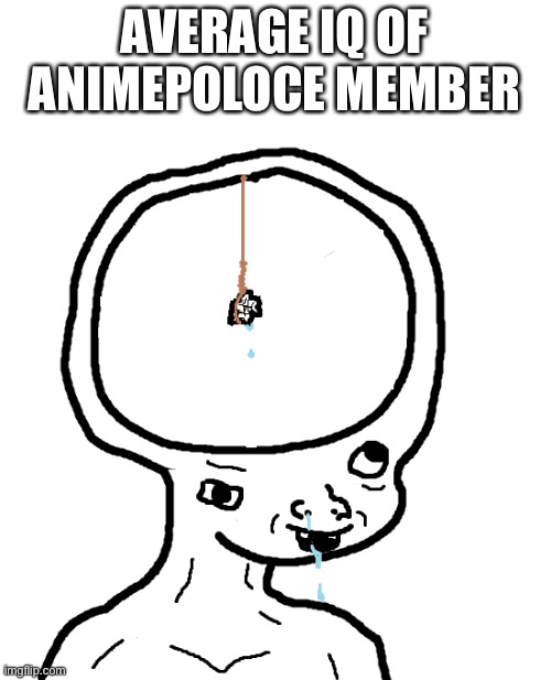 Dumb wojak | AVERAGE IQ OF ANIMEPOLOCE MEMBER | image tagged in dumb wojak | made w/ Imgflip meme maker