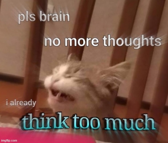 * | made w/ Imgflip meme maker