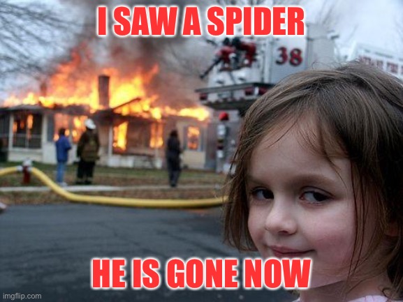 Spider | I SAW A SPIDER; HE IS GONE NOW | image tagged in memes,disaster girl | made w/ Imgflip meme maker