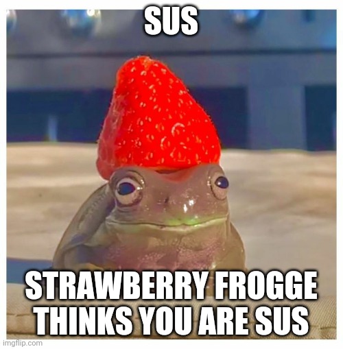 Most smartest title ever |  SUS; STRAWBERRY FROGGE THINKS YOU ARE SUS | image tagged in strawberry frog | made w/ Imgflip meme maker