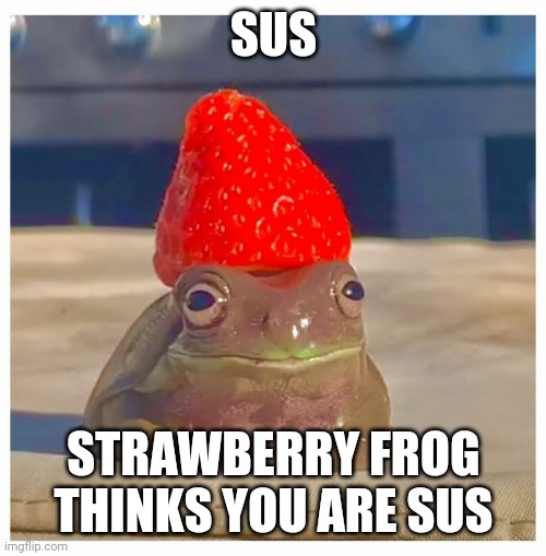 Strawberry frog | SUS STRAWBERRY FROG THINKS YOU ARE SUS | image tagged in strawberry frog | made w/ Imgflip meme maker