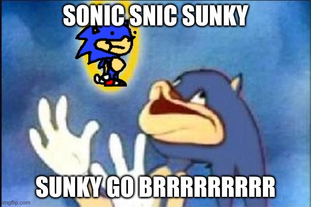sunky meme |  SONIC SNIC SUNKY; SUNKY GO BRRRRRRRRR | image tagged in sonic derp | made w/ Imgflip meme maker