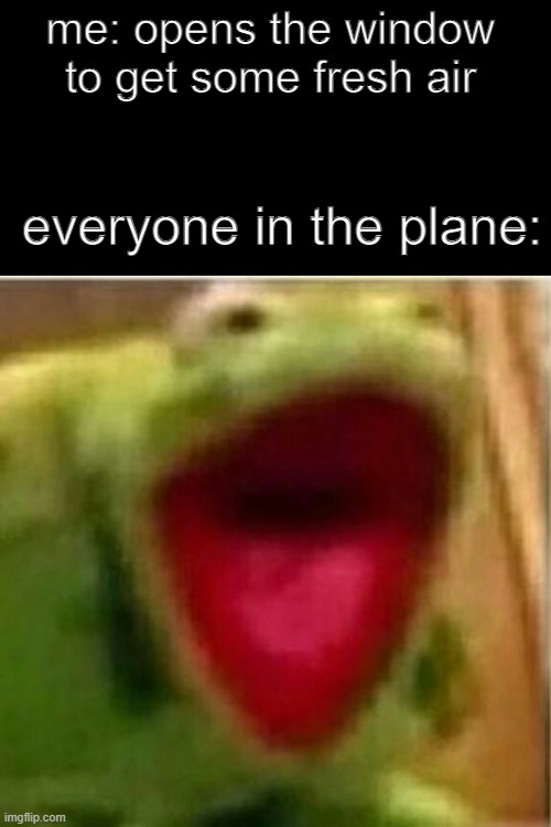 im running out of ideas lol | me: opens the window to get some fresh air; everyone in the plane: | image tagged in ahhhhhhhhhhhhh | made w/ Imgflip meme maker