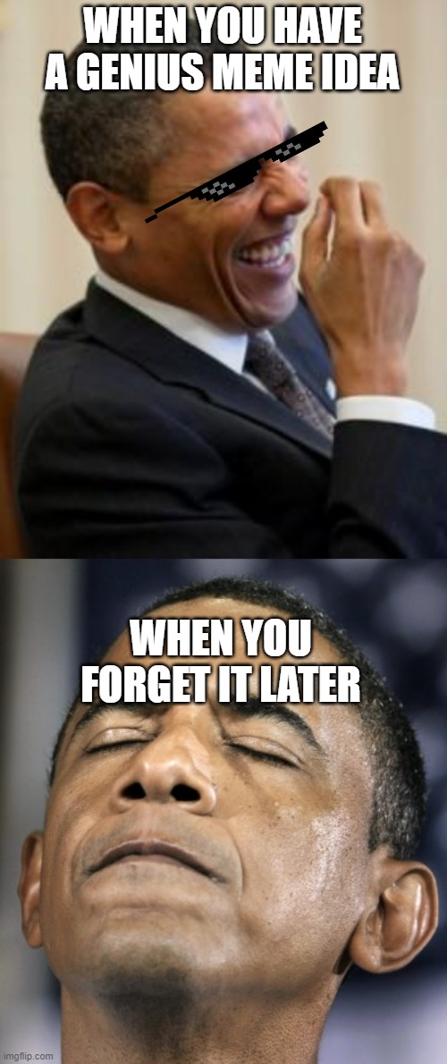 happened to me today | WHEN YOU HAVE A GENIUS MEME IDEA; WHEN YOU FORGET IT LATER | image tagged in hahahahaha,obama-distraught-goddammit-doh-fail | made w/ Imgflip meme maker