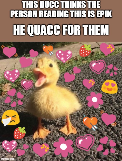 he do indeed quacc for u | THIS DUCC THINKS THE PERSON READING THIS IS EPIK; HE QUACC FOR THEM | image tagged in wholesome quacc,wholesome,duck | made w/ Imgflip meme maker