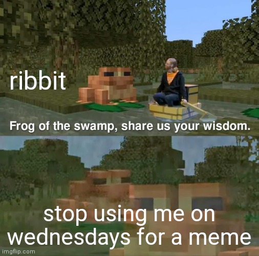 Frog of the swamp, share us your wisdom | ribbit; stop using me on wednesdays for a meme | image tagged in frog of the swamp share us your wisdom | made w/ Imgflip meme maker