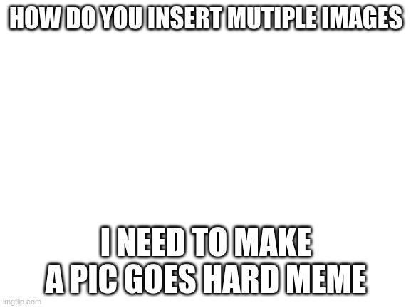 MEANDIDNWUFOBWEFBRUFBRWOFBWFBWEB | HOW DO YOU INSERT MUTIPLE IMAGES; I NEED TO MAKE A PIC GOES HARD MEME | image tagged in blank white template | made w/ Imgflip meme maker