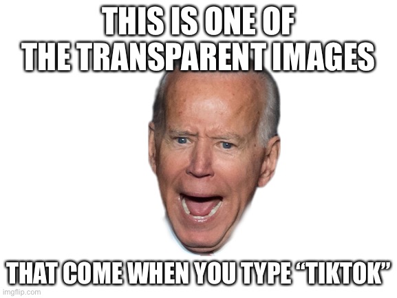 whyyy | THIS IS ONE OF THE TRANSPARENT IMAGES; THAT COME WHEN YOU TYPE “TIKTOK” | image tagged in tiktok,joe biden | made w/ Imgflip meme maker