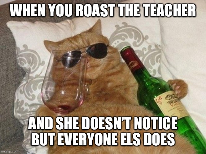 drunk cool cat | WHEN YOU ROAST THE TEACHER; AND SHE DOESN’T NOTICE BUT EVERYONE ELS DOES | image tagged in drunk cool cat | made w/ Imgflip meme maker