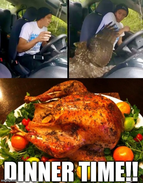 Mmm cooked bird, delicious! | DINNER TIME!! | image tagged in roasted turkey,memes,funny | made w/ Imgflip meme maker