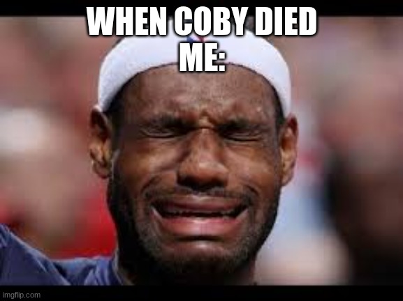 LEBRON JAMES CRY BABY | WHEN COBY DIED
ME: | image tagged in lebron james cry baby | made w/ Imgflip meme maker