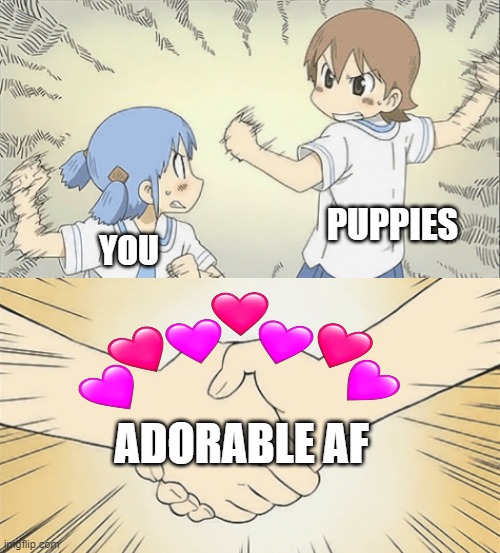 pure fax right here folks | PUPPIES; YOU; ADORABLE AF | image tagged in nichijou agree,wholesome,anime,puppy | made w/ Imgflip meme maker