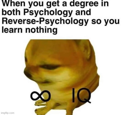 * | made w/ Imgflip meme maker