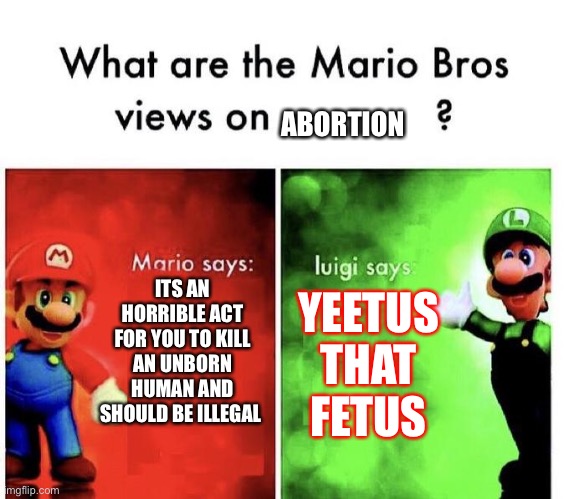 Do you agree | ABORTION; ITS AN HORRIBLE ACT FOR YOU TO KILL AN UNBORN HUMAN AND SHOULD BE ILLEGAL; YEETUS THAT FETUS | image tagged in mario bros views | made w/ Imgflip meme maker