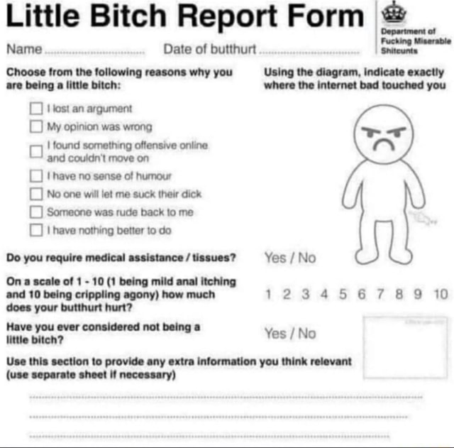 Little bitch report form Blank Meme Template