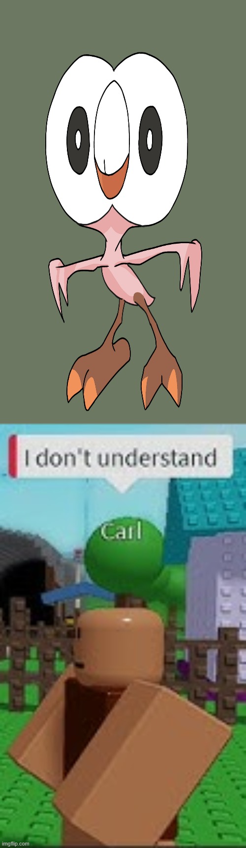 cursed | image tagged in i don't understand,rowlet,why,just why,funny | made w/ Imgflip meme maker