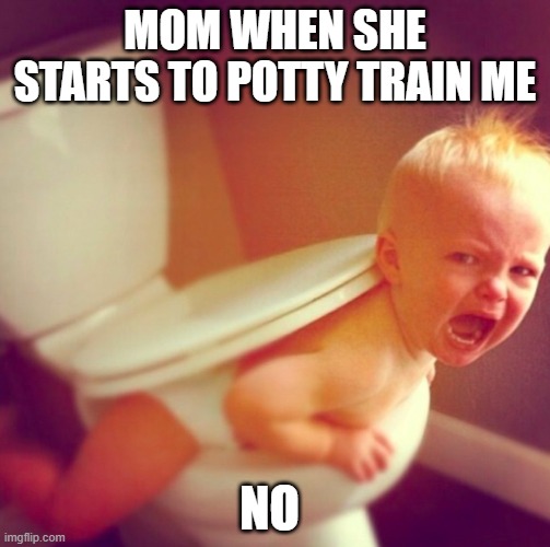 toliet trouble | MOM WHEN SHE STARTS TO POTTY TRAIN ME; NO | image tagged in toliet trouble | made w/ Imgflip meme maker