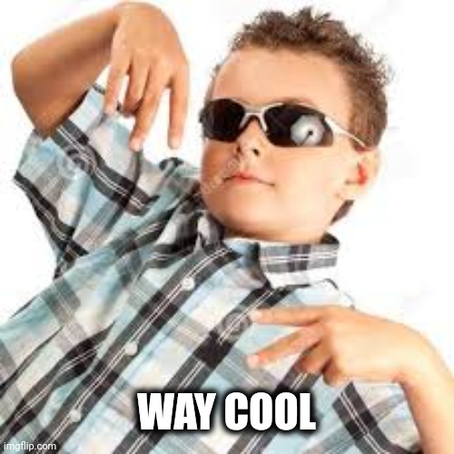 Cool kid sunglasses | WAY COOL | image tagged in cool kid sunglasses | made w/ Imgflip meme maker