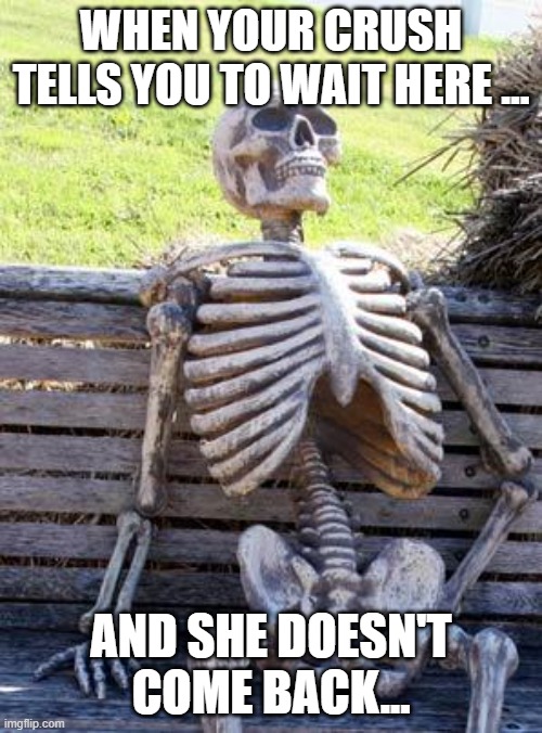 Waiting Skeleton | WHEN YOUR CRUSH TELLS YOU TO WAIT HERE ... AND SHE DOESN'T COME BACK... | image tagged in memes,waiting skeleton | made w/ Imgflip meme maker