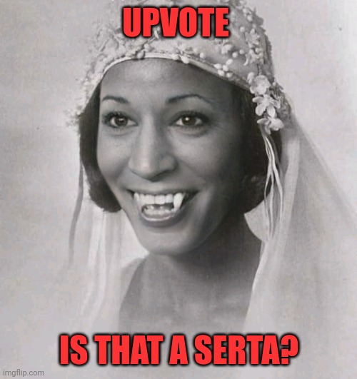 UPVOTE IS THAT A SERTA? | made w/ Imgflip meme maker