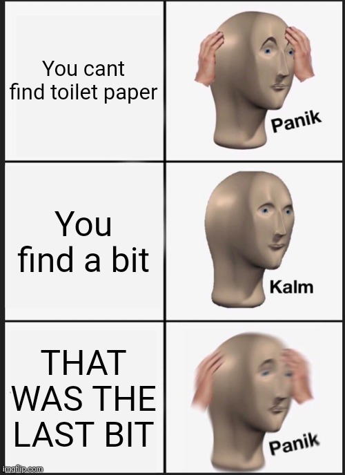 Toilet paper crisis | You cant find toilet paper; You find a bit; THAT WAS THE LAST BIT | image tagged in memes,panik kalm panik | made w/ Imgflip meme maker