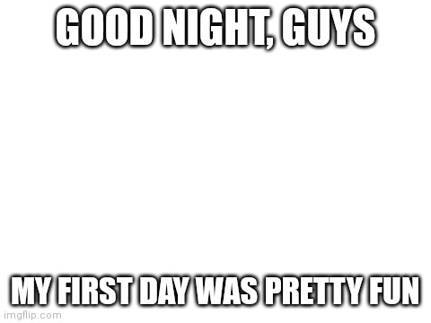Blank White Template | GOOD NIGHT, GUYS; MY FIRST DAY WAS PRETTY FUN | image tagged in blank white template | made w/ Imgflip meme maker