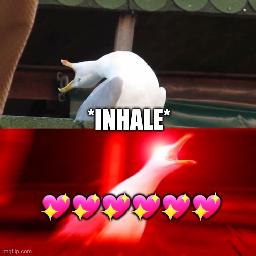 Inhales Seagull | *INHALE*; 💖💖💖💖💖💖 | image tagged in inhales seagull | made w/ Imgflip meme maker