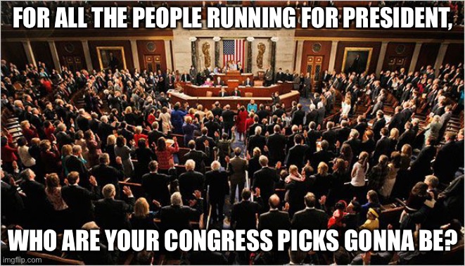 Congress | FOR ALL THE PEOPLE RUNNING FOR PRESIDENT, WHO ARE YOUR CONGRESS PICKS GONNA BE? | image tagged in congress | made w/ Imgflip meme maker
