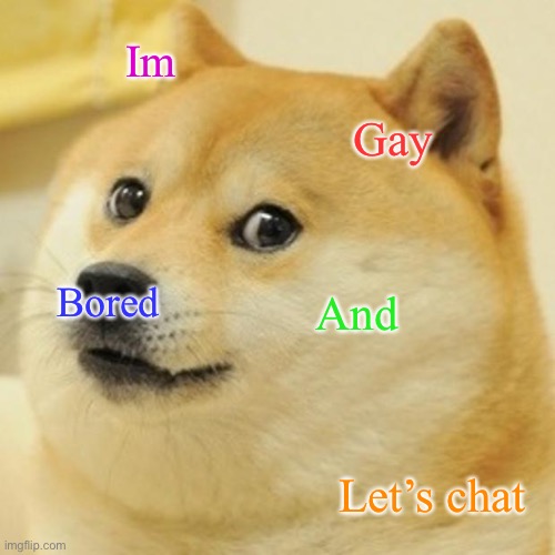 Doge | Im; Gay; Bored; And; Let’s chat | image tagged in memes,doge | made w/ Imgflip meme maker