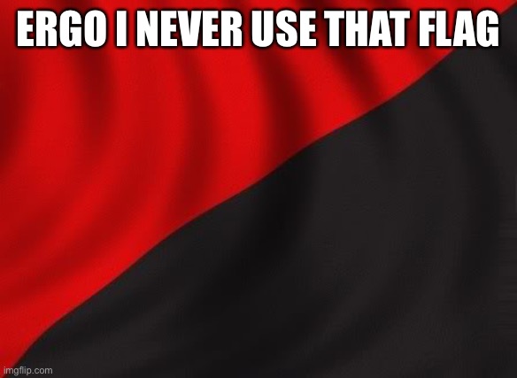 Anarchist flag | ERGO I NEVER USE THAT FLAG | image tagged in anarchist flag | made w/ Imgflip meme maker