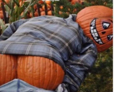 Twerking Pumpkin Blank Meme Template