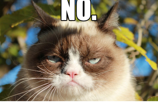 Grumpy Cat Reverse Meme Generator - Piñata Farms - The best meme generator  and meme maker for video & image memes