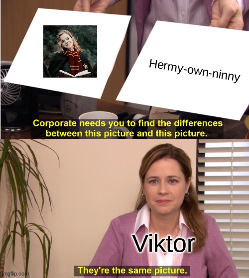 Viktor and Hermione | Hermy-own-ninny; Viktor | image tagged in memes,they're the same picture,hermione granger,harry potter | made w/ Imgflip meme maker