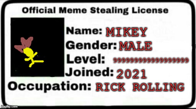 LETS GO | MIKEY; MALE; 999999999999999999; 2021; RICK ROLLING | image tagged in meme stealing license | made w/ Imgflip meme maker