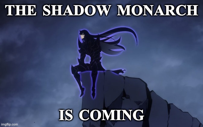 Shadow Monarch | THE SHADOW MONARCH; IS COMING | image tagged in meme | made w/ Imgflip meme maker