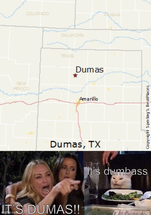 Image Title | It’s dumbass; IT’S DUMAS!! | image tagged in woman yelling at cat | made w/ Imgflip meme maker